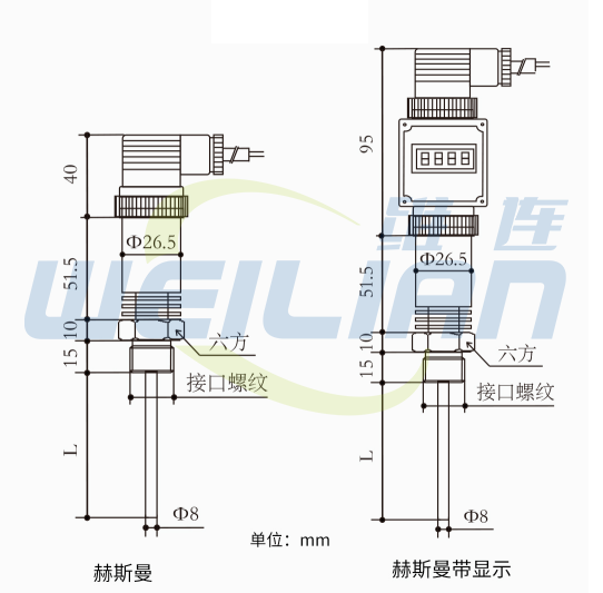 T14系列铂电阻温度传感器 上海億彩电子